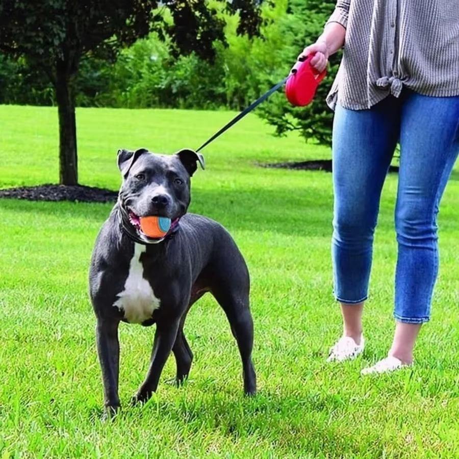 Bite-Resistant Pet Chew Ball – Tennis Shape Squeaky Toy